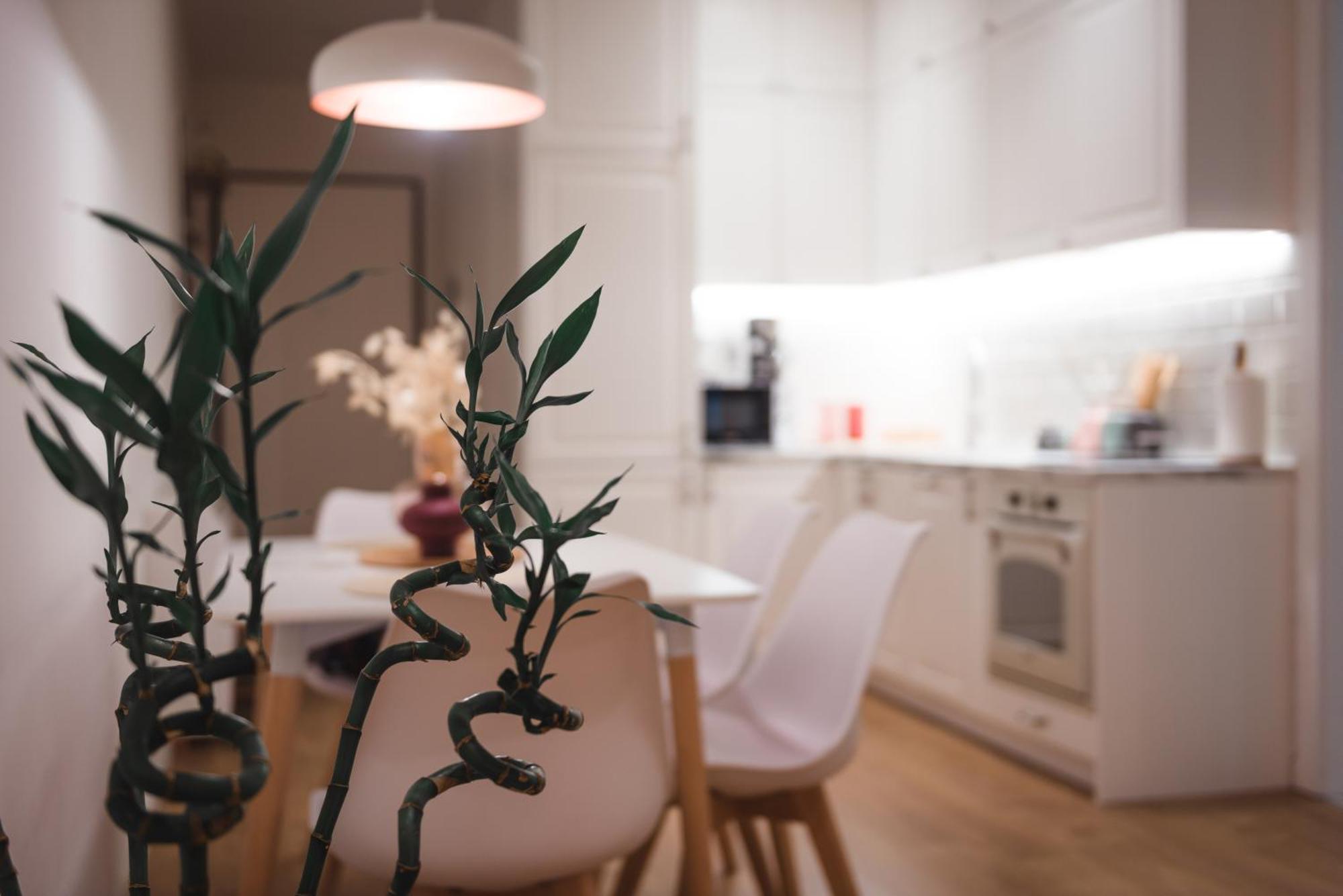Tam Centre Luxury Serviced Apartments טיראנה מראה חיצוני תמונה